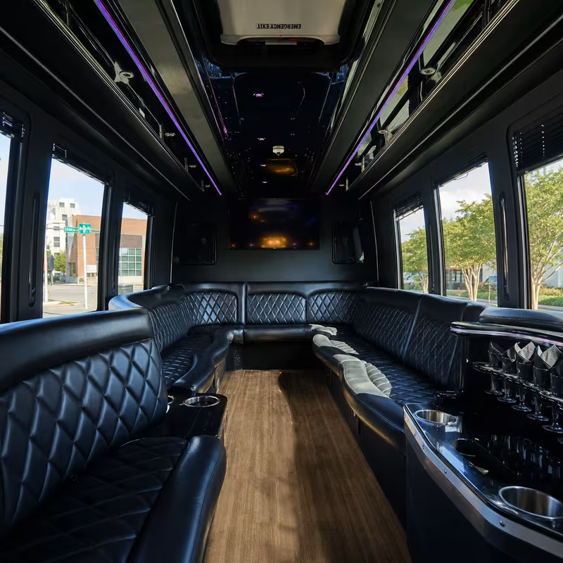 Passenger watching the Indianapolis scenery during a regional party bus road trip